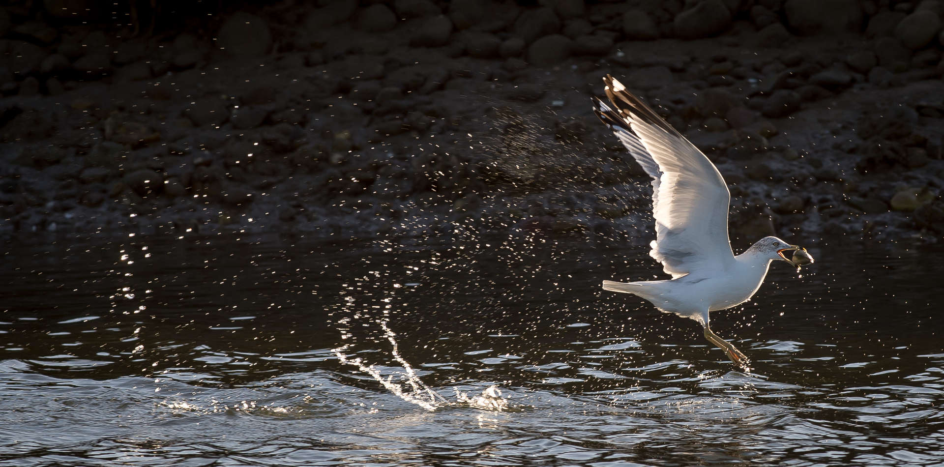  : Photojournalism : Daniel Goodrich Productions, Inc.